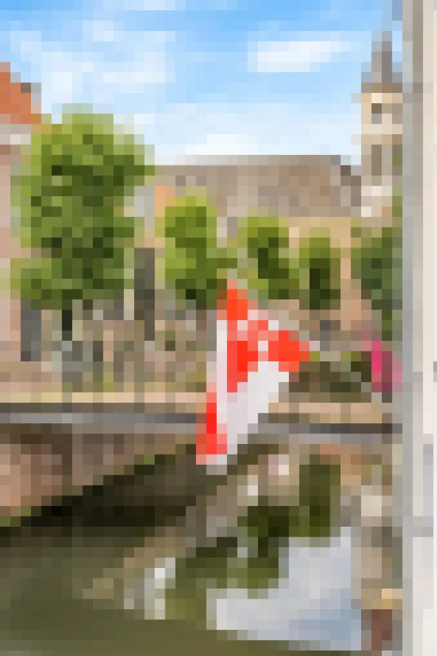Krommestraat 56 Amersfoort thumbnail 12
