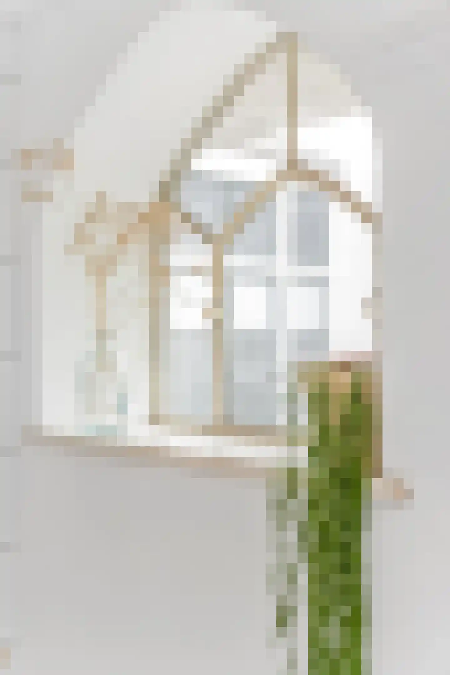 Krommestraat 56 Amersfoort thumbnail 34