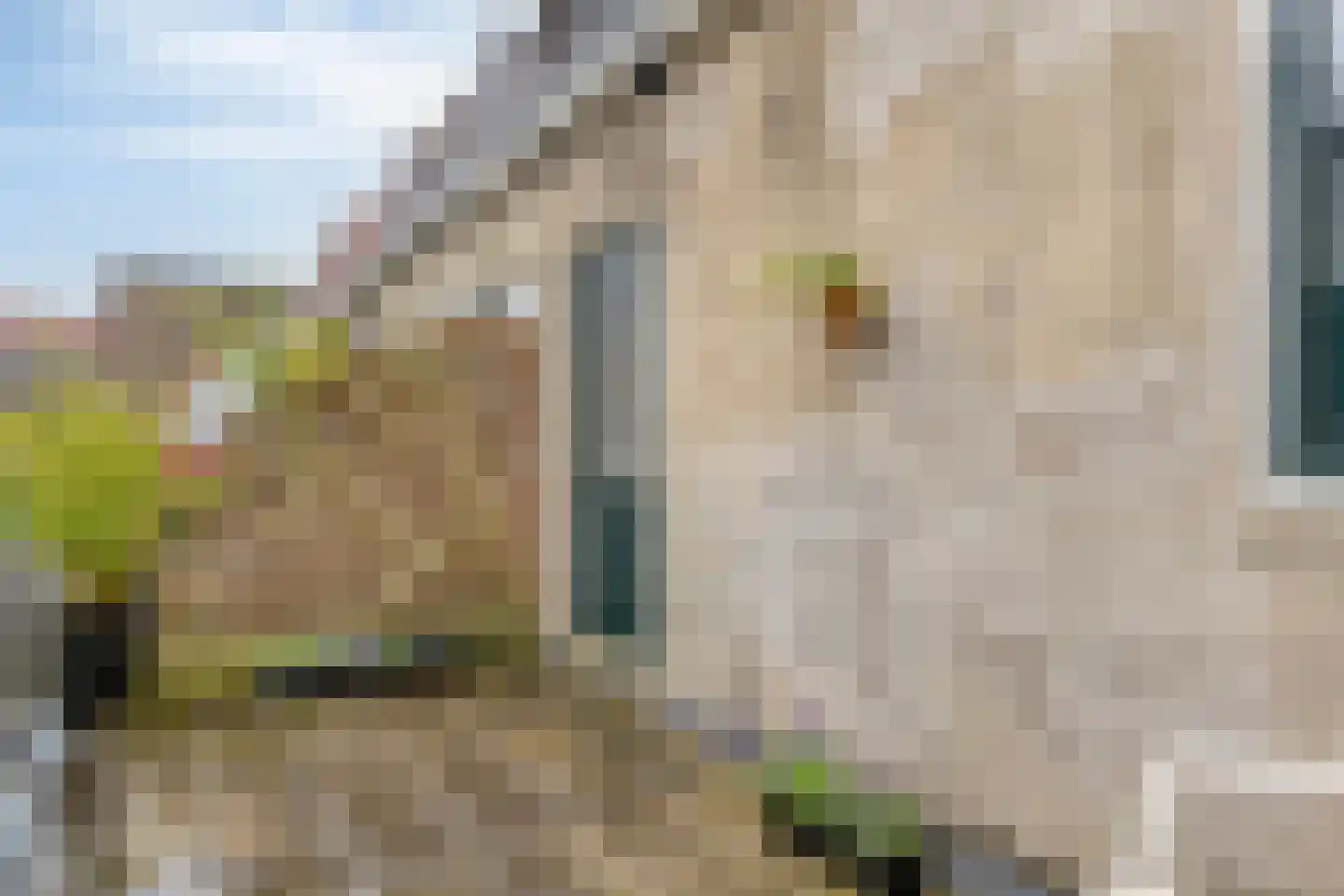 Krommestraat 71 Amersfoort thumbnail 20