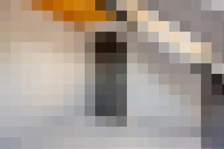 Krommestuk 15 Scherpenzeel thumbnail 20