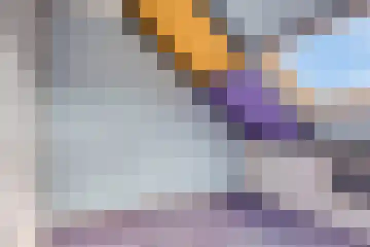 Krommestuk 15 Scherpenzeel thumbnail 21