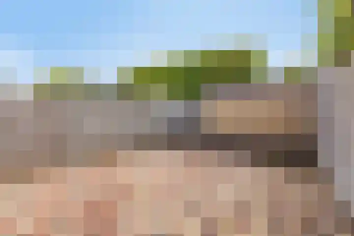 Krommestuk 15 Scherpenzeel thumbnail 23
