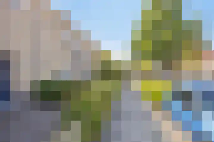 Krommestuk 15 Scherpenzeel thumbnail 25
