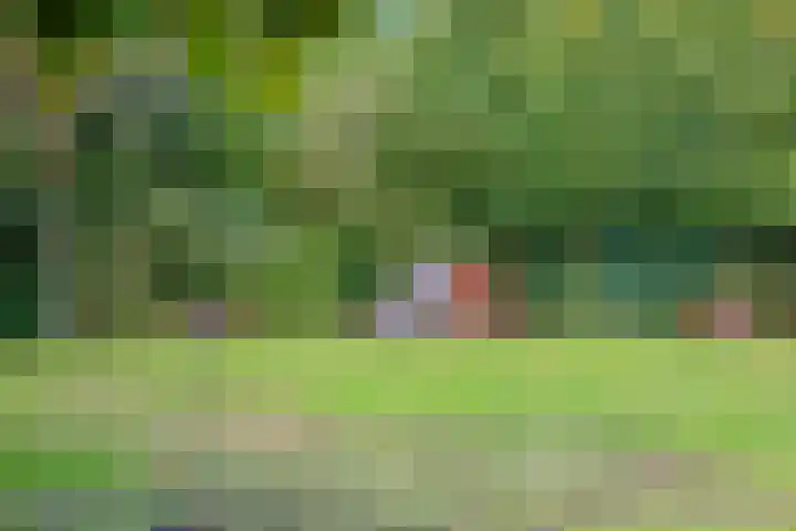Krommestuk 15 Scherpenzeel thumbnail 26