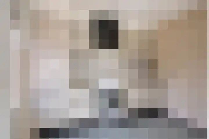 Krommestuk 15 Scherpenzeel thumbnail 7