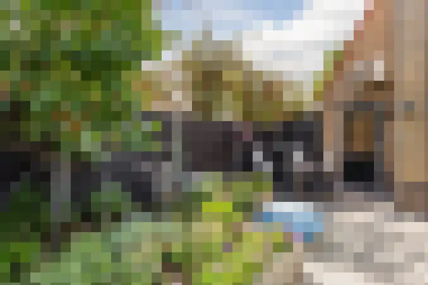 Krommestuk 19 Scherpenzeel thumbnail 26