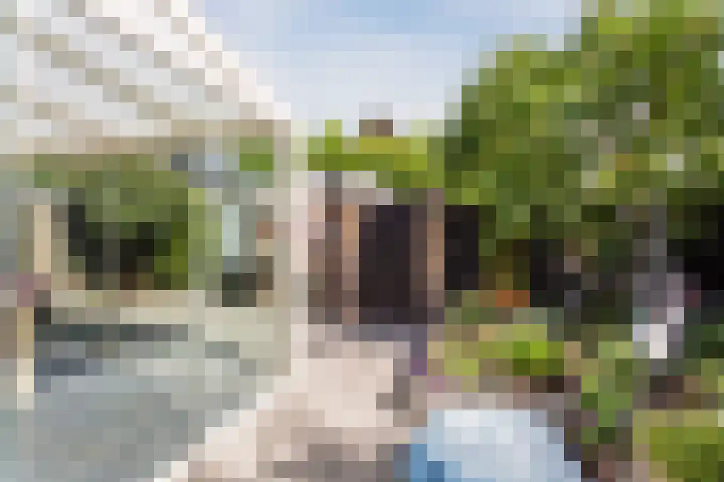 Krommestuk 19 Scherpenzeel thumbnail 27