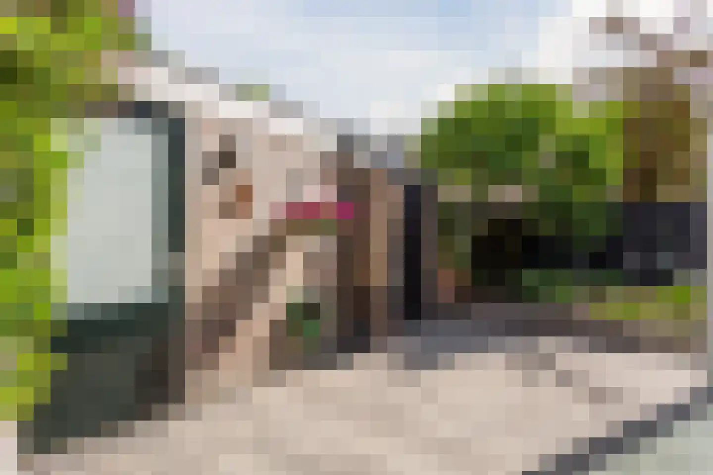Krommestuk 19 Scherpenzeel thumbnail 36