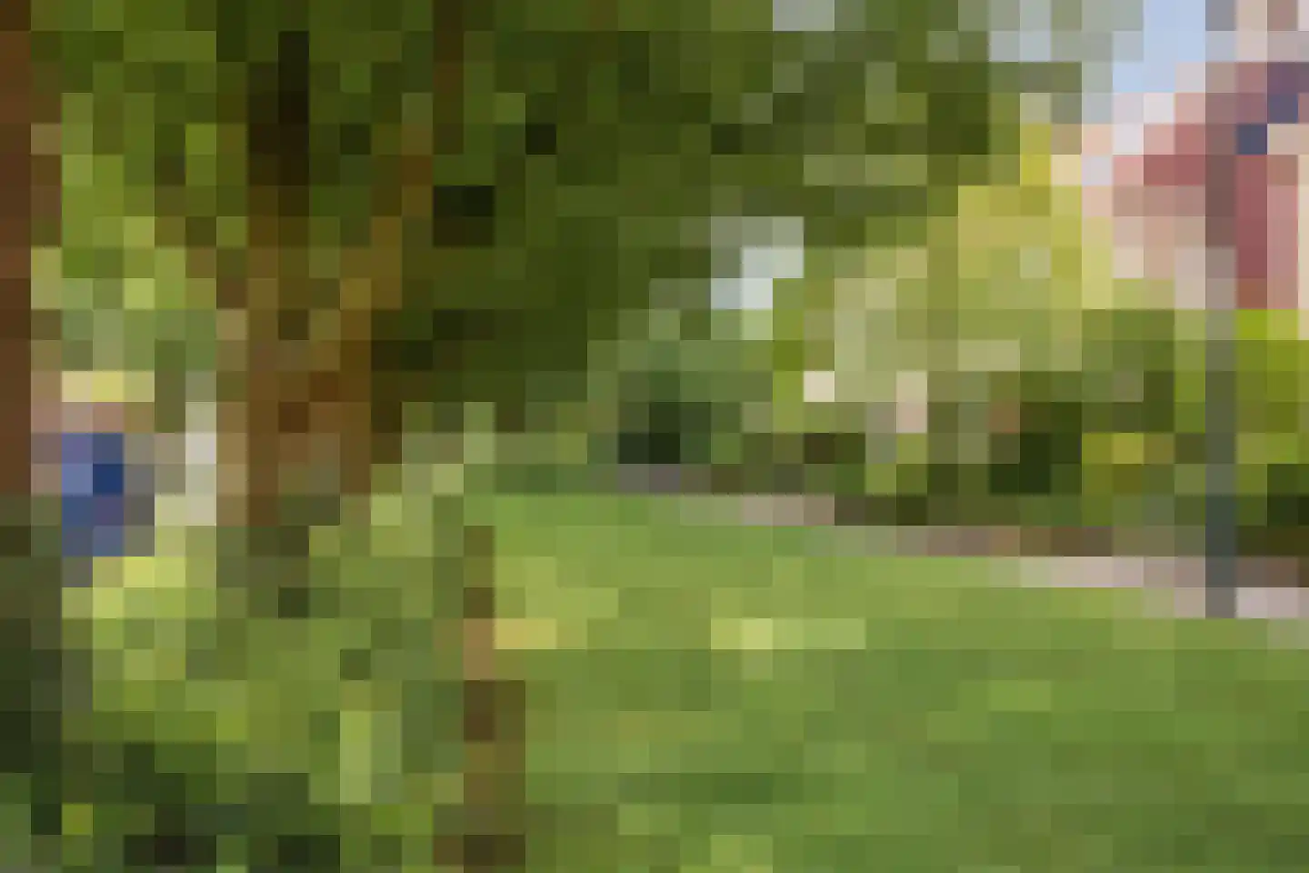 Krommestuk 19 Scherpenzeel thumbnail 40