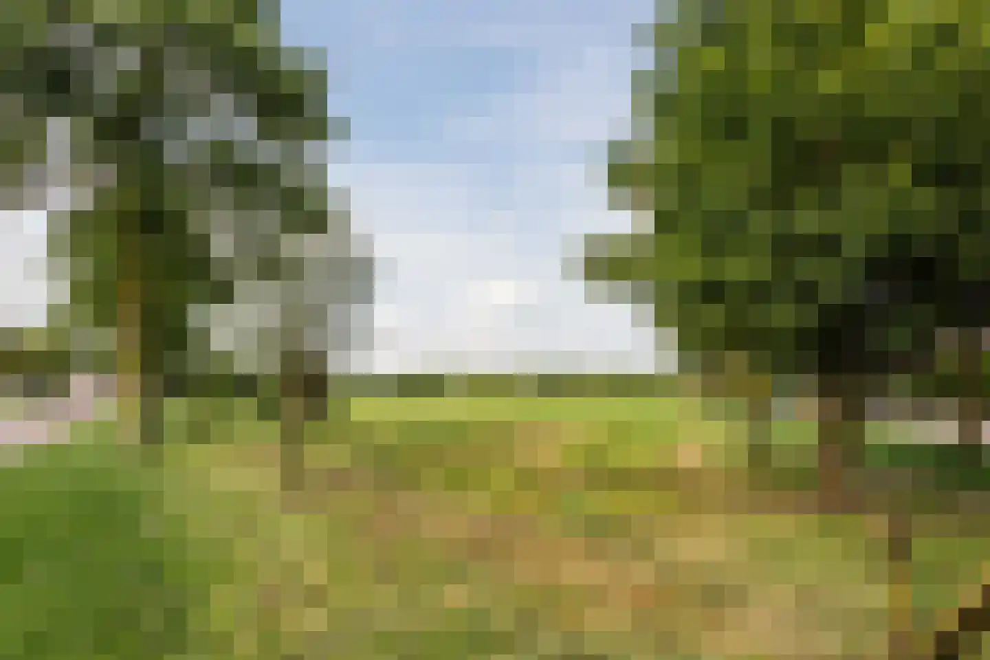 Krommestuk 19 Scherpenzeel thumbnail 41