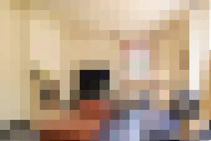 Krommevaert 2 Kaatsheuvel thumbnail 18