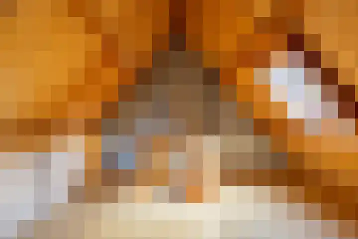 Krommevaert 2 Kaatsheuvel thumbnail 38