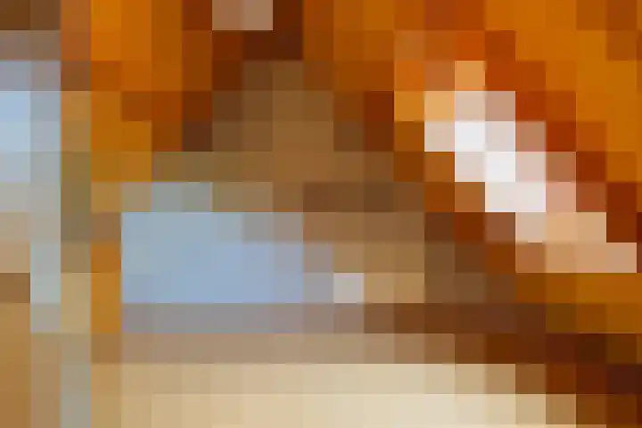 Krommevaert 2 Kaatsheuvel thumbnail 39