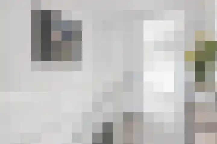 Krommevaert 2 Kaatsheuvel thumbnail 44