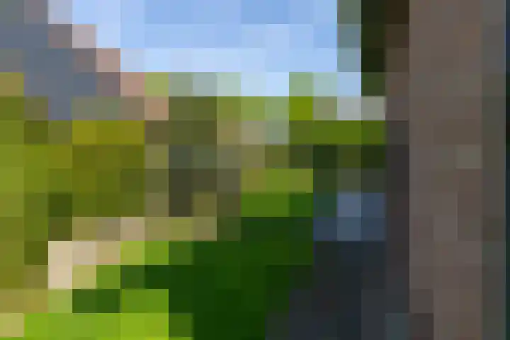 Krommevaert 2 Kaatsheuvel thumbnail 8