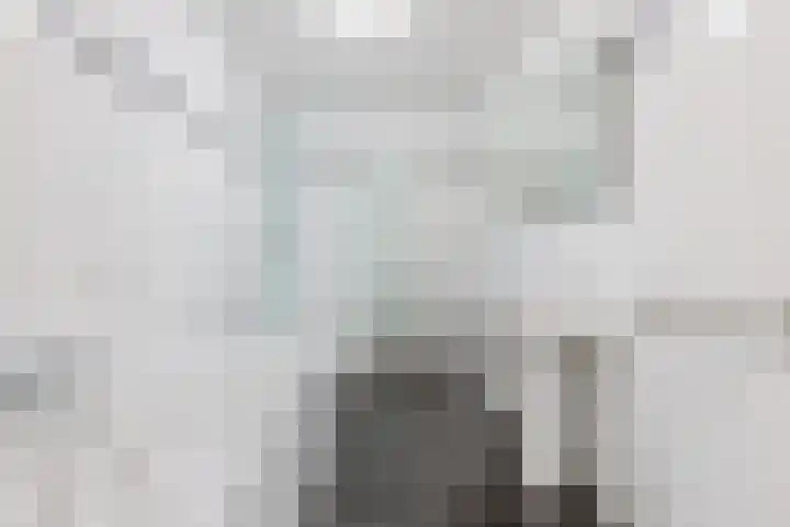 Krommeven 28 Assendelft thumbnail 17