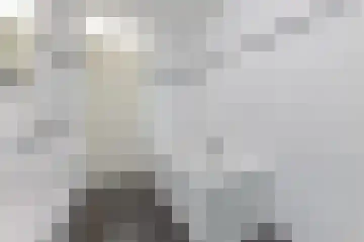 Krommeven 28 Assendelft thumbnail 18