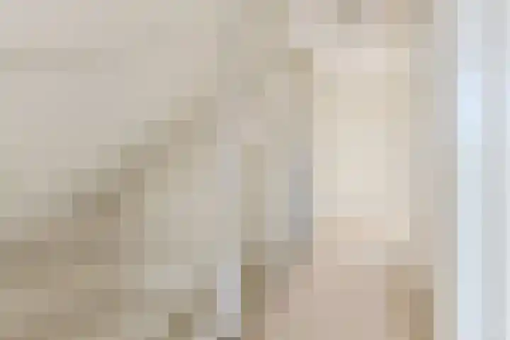 Krommeven 28 Assendelft thumbnail 19