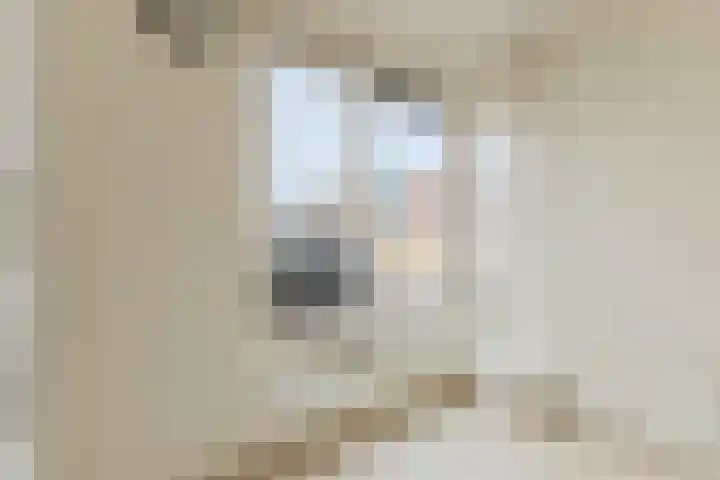 Krommeven 28 Assendelft thumbnail 8