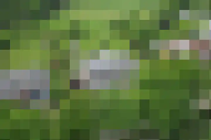Krommeweg 12 Helmond thumbnail 5