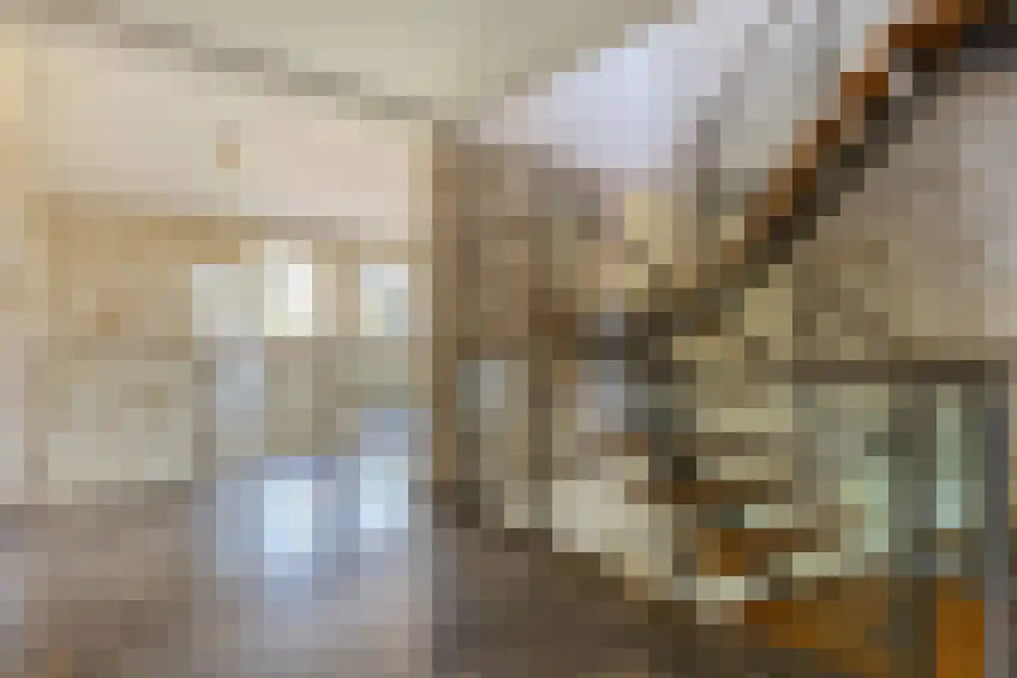 Krommeweg 14 Helmond thumbnail 24