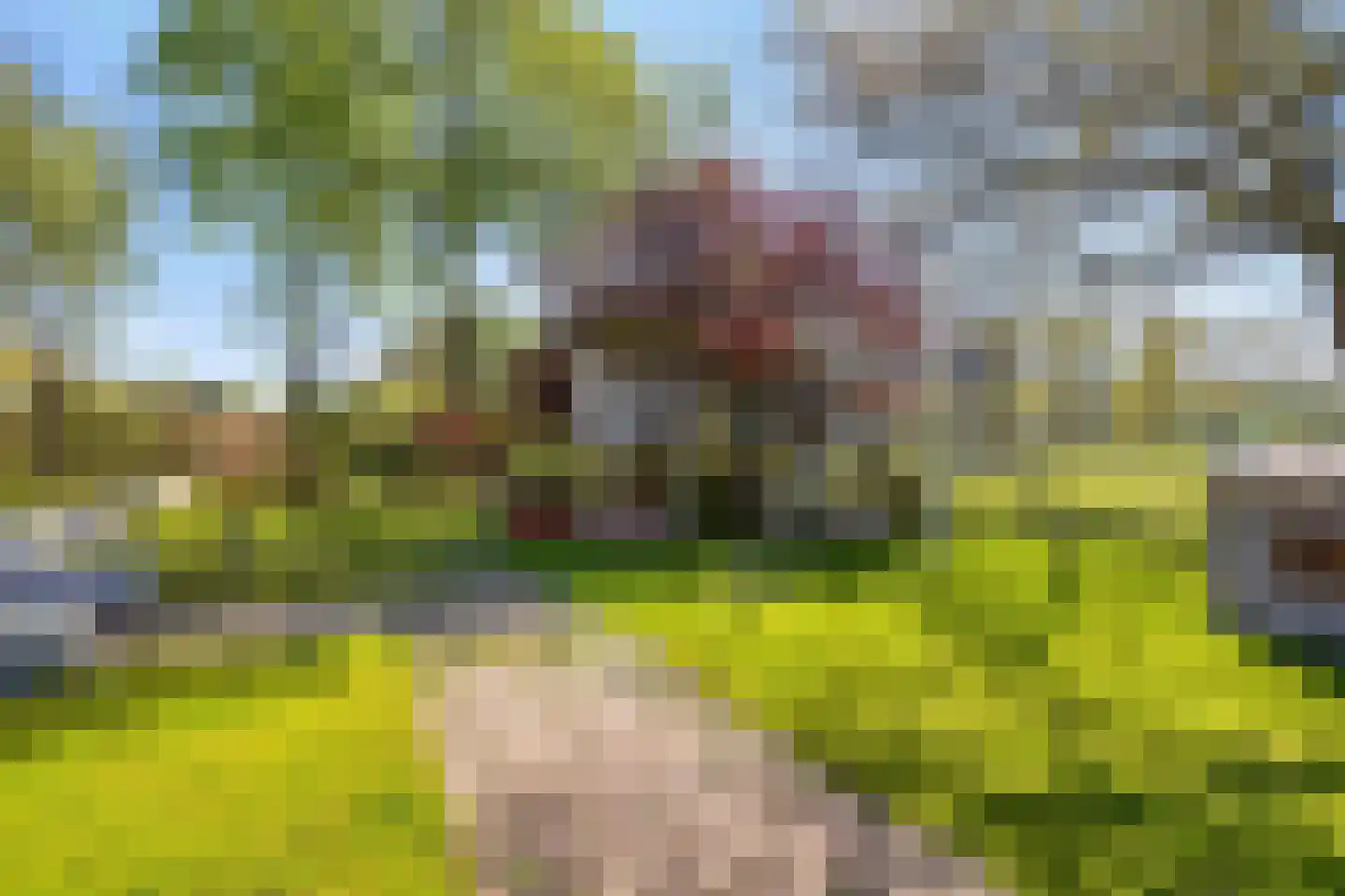 Krommeweg 14 Helmond thumbnail 64