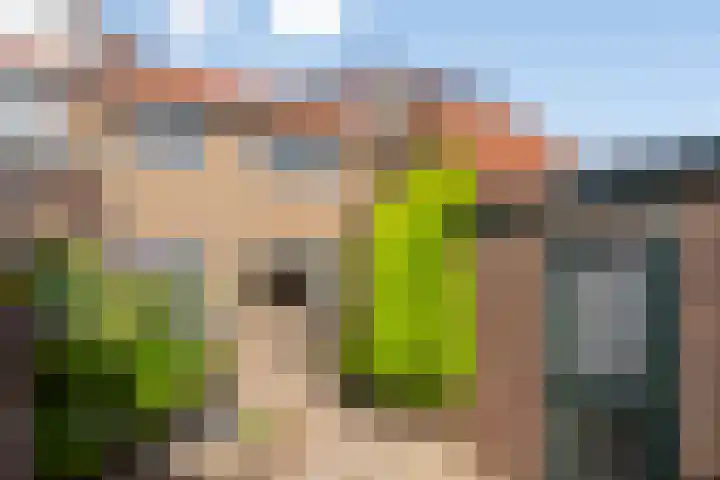 Krommeweg 15 Soest thumbnail 20