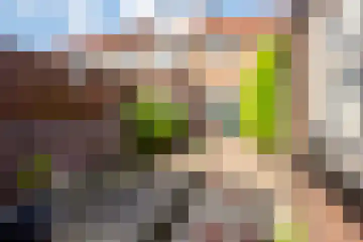 Krommeweg 15 Soest thumbnail 21