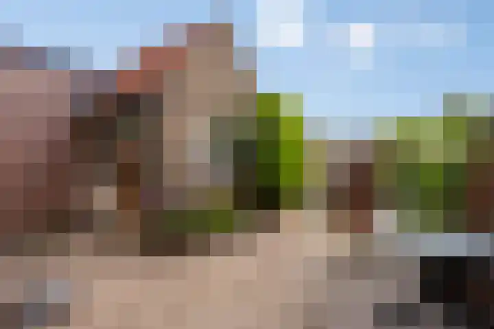 Krommeweg 15 Soest thumbnail 22