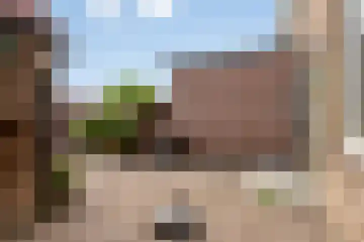 Krommeweg 15 Soest thumbnail 23