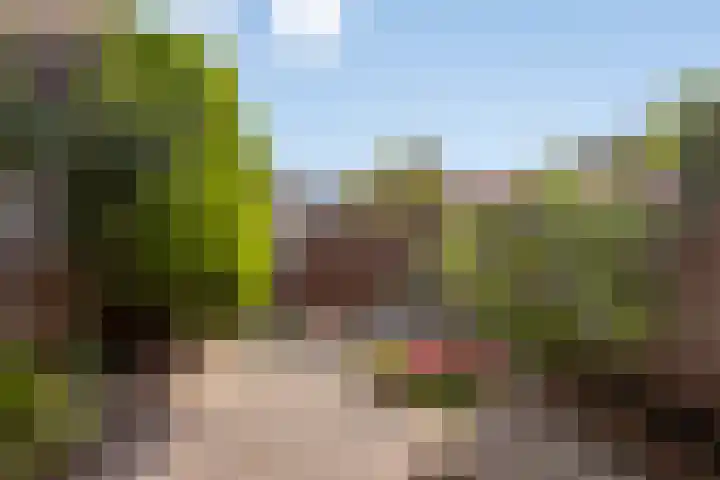 Krommeweg 15 Soest thumbnail 24