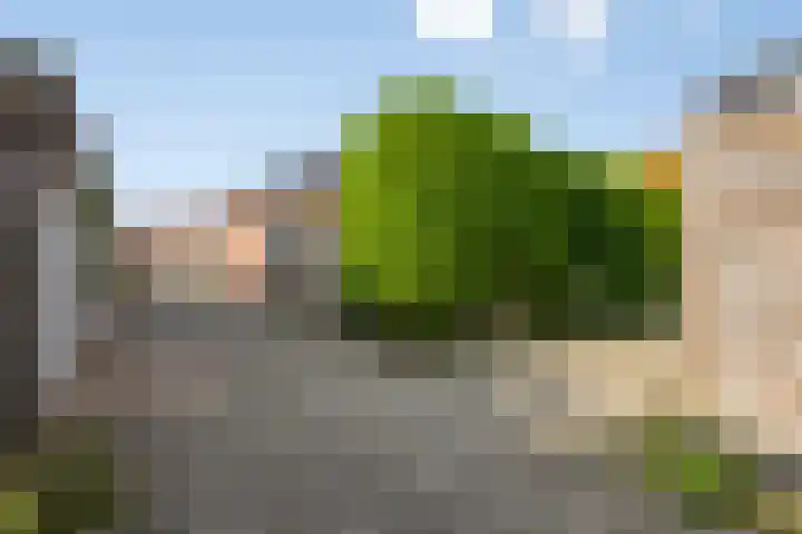 Krommeweg 15 Soest thumbnail 28