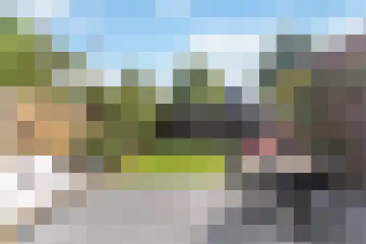 Krommeweg 17 Hendrik-Ido-Ambacht thumbnail 39