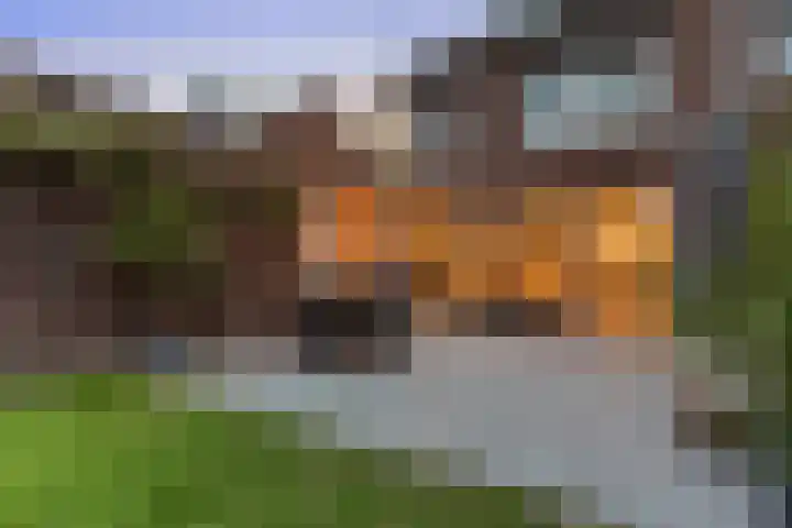 Krommeweg 17 Hendrik-Ido-Ambacht thumbnail 47