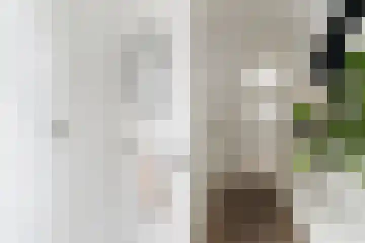 Krommeweg 17 Hendrik-Ido-Ambacht thumbnail 6