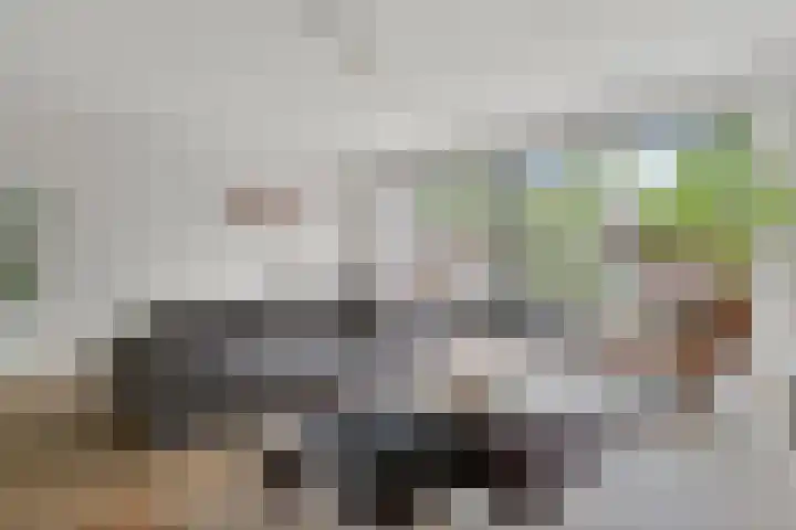 Krommeweg 17 Hendrik-Ido-Ambacht thumbnail 8