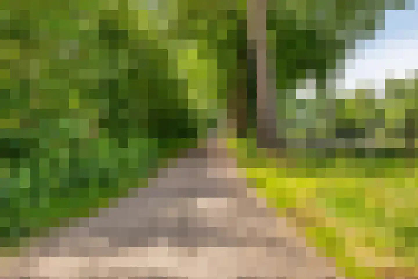 Krommeweg 19 Helmond thumbnail 5