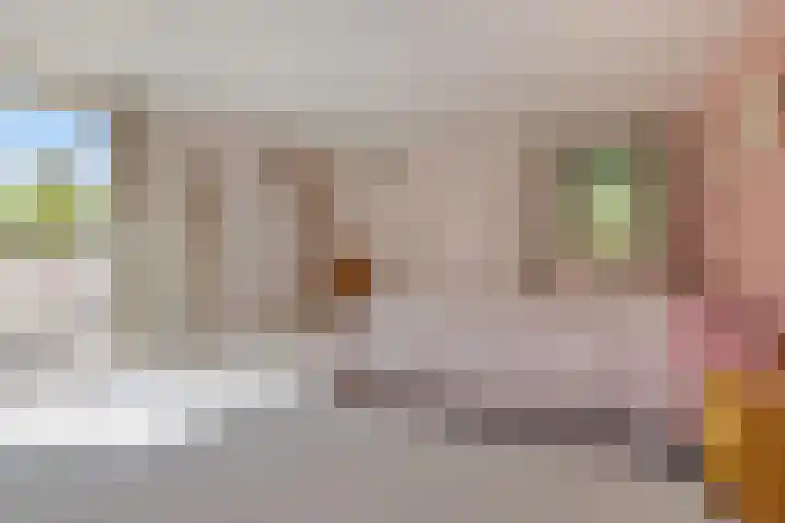 Krommeweg 2 Sint-Michielsgestel thumbnail 30