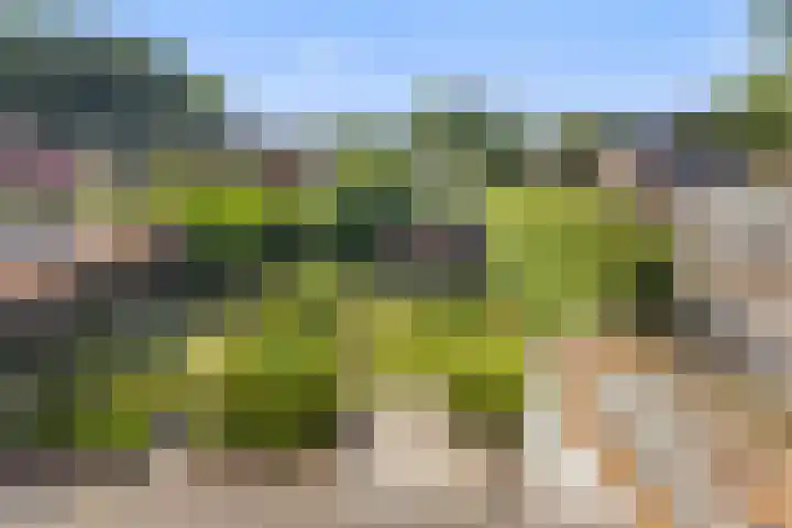 Krommeweg 2 Sint-Michielsgestel thumbnail 36