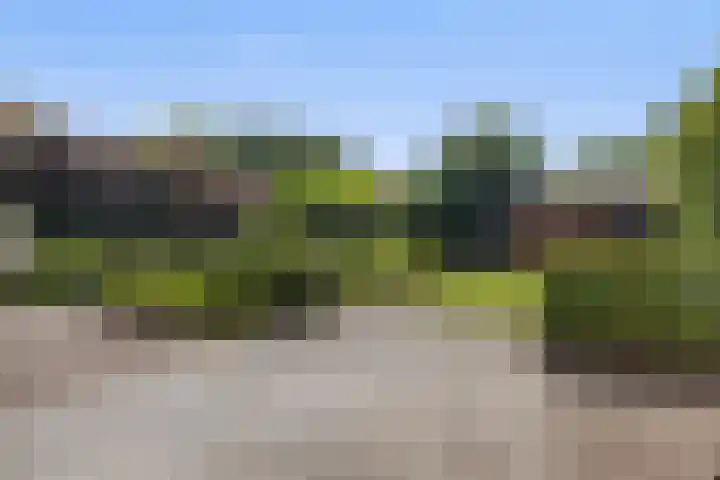 Krommeweg 2 Sint-Michielsgestel thumbnail 47
