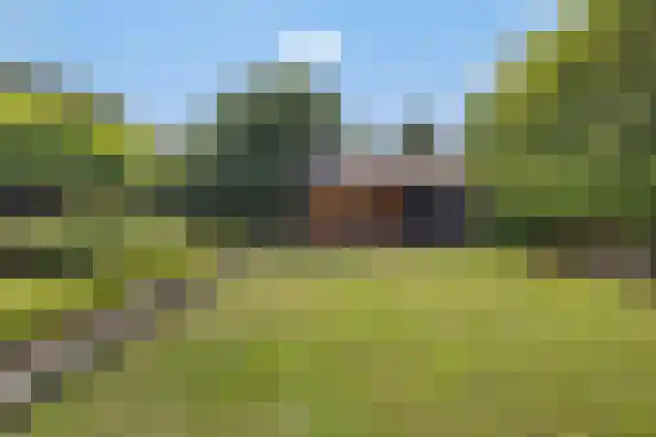 Krommeweg 2 Sint-Michielsgestel thumbnail 48