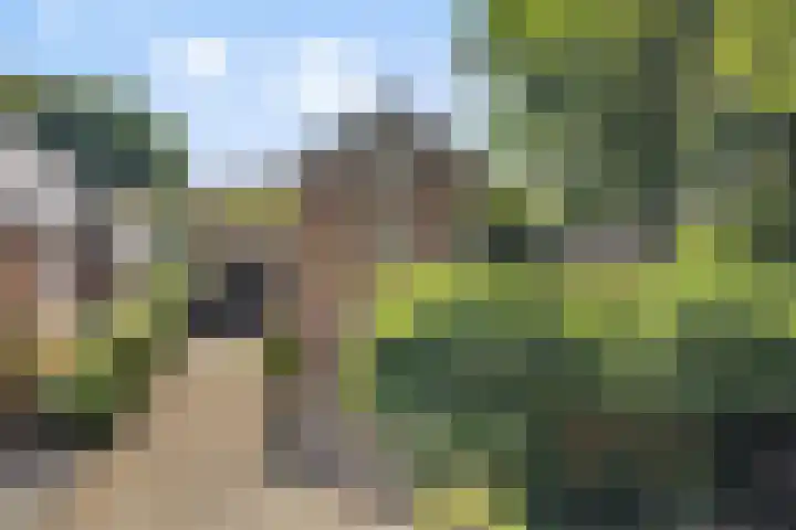 Krommeweg 2 Sint-Michielsgestel thumbnail 5