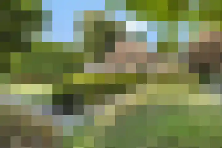 Krommeweg 2 Sint-Michielsgestel thumbnail 51