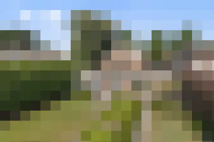 Krommeweg 2 Sint-Michielsgestel thumbnail 53