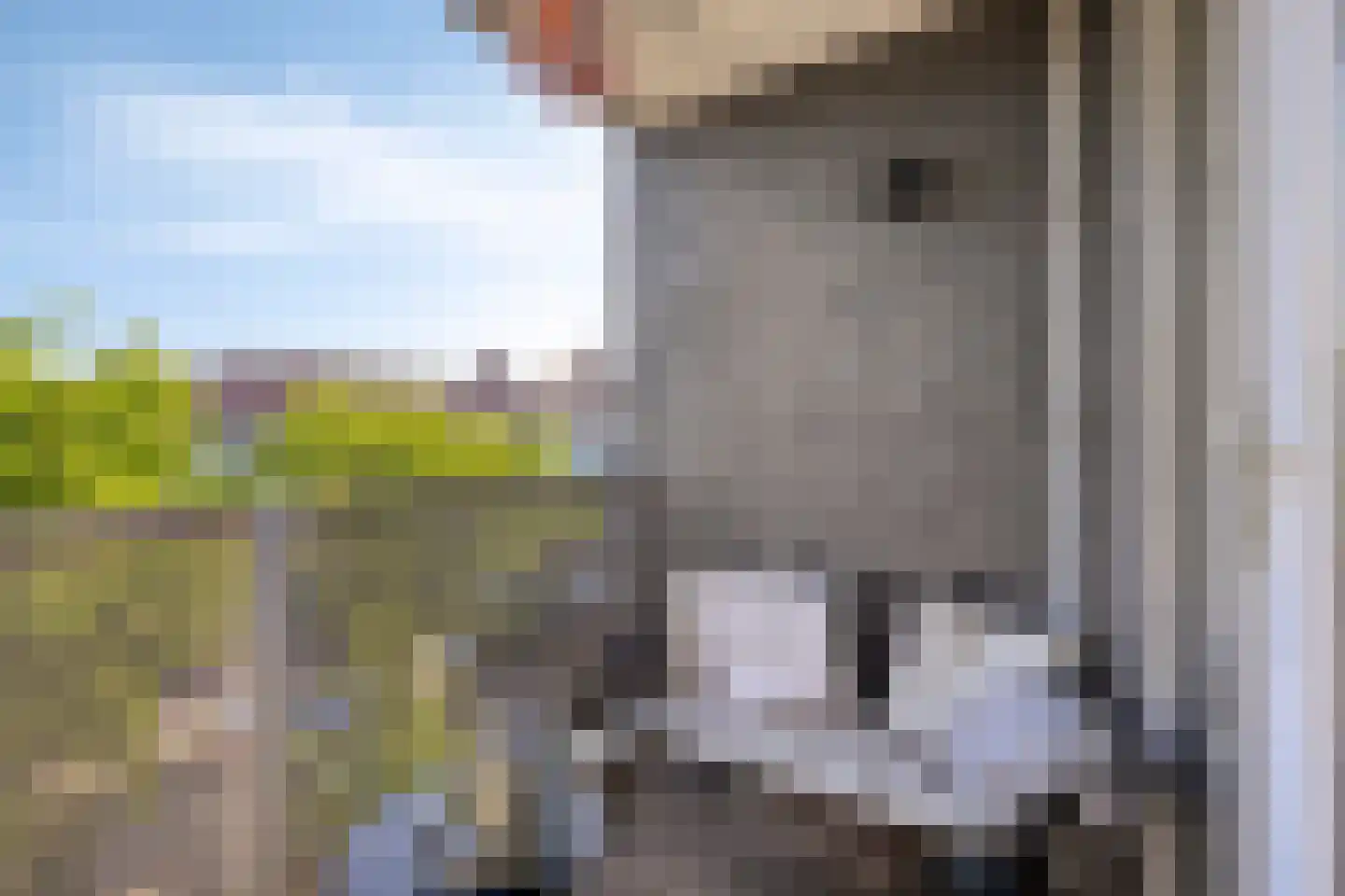 Krommeweg 20 's-Hertogenbosch thumbnail 15