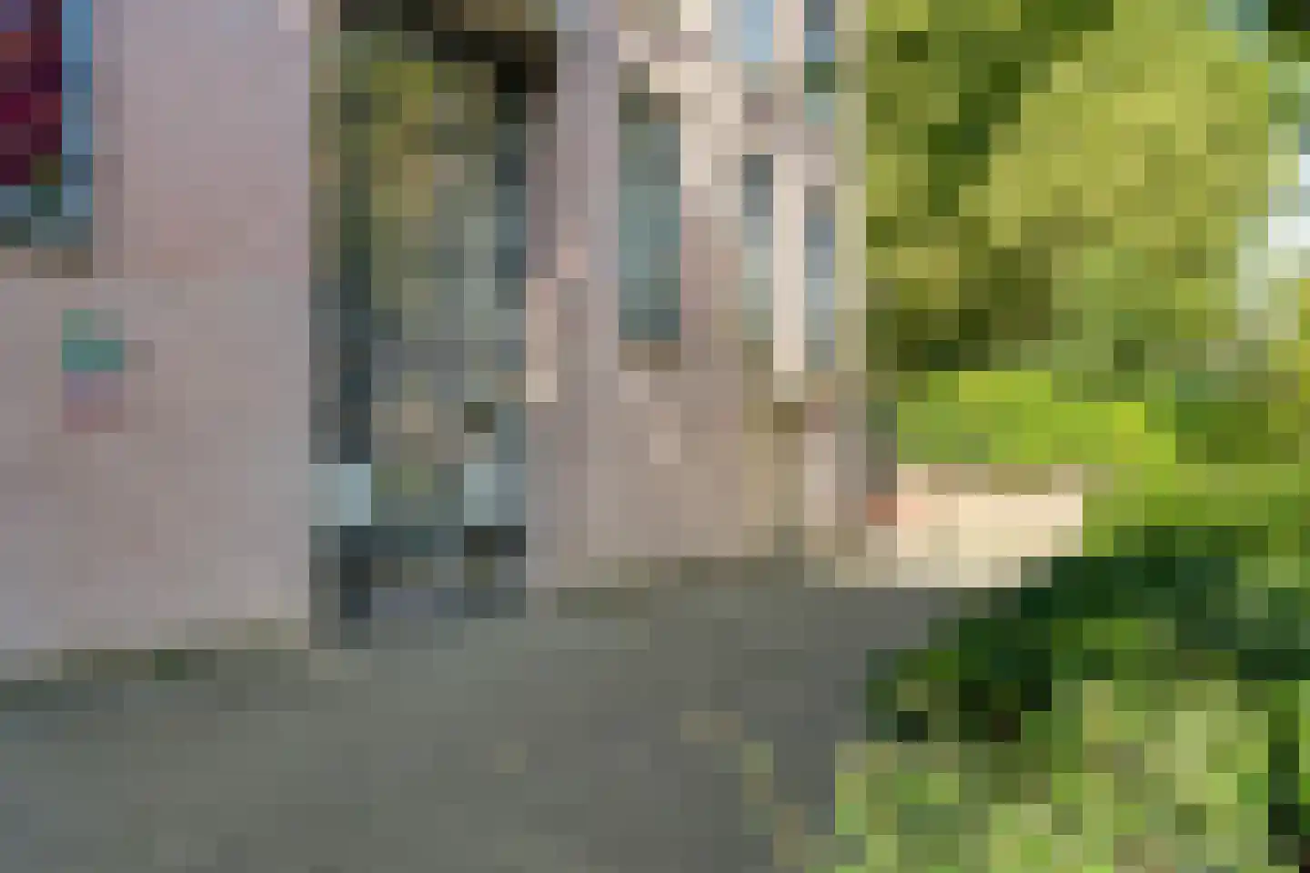 Krommeweg 20 's-Hertogenbosch thumbnail 28