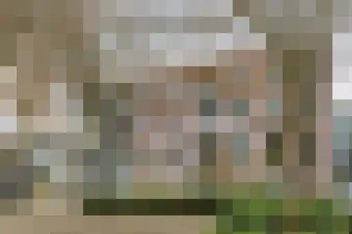 Krommeweg 24 's-Hertogenbosch thumbnail 21