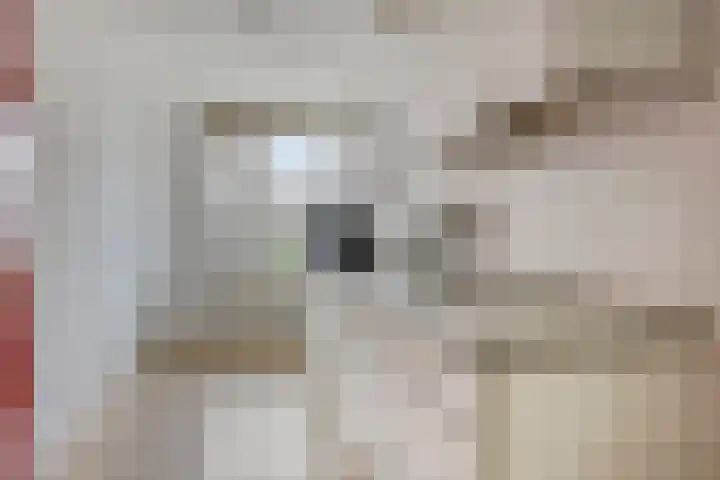 Krommeweg 24 's-Hertogenbosch thumbnail 8