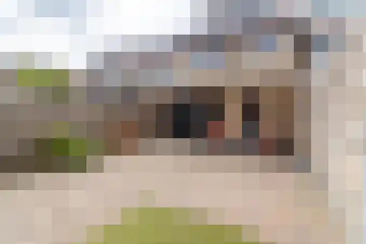 Krommeweg 25 Soest thumbnail 20