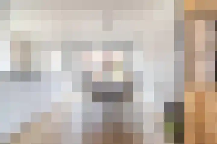 Krommeweg 25 Soest thumbnail 6